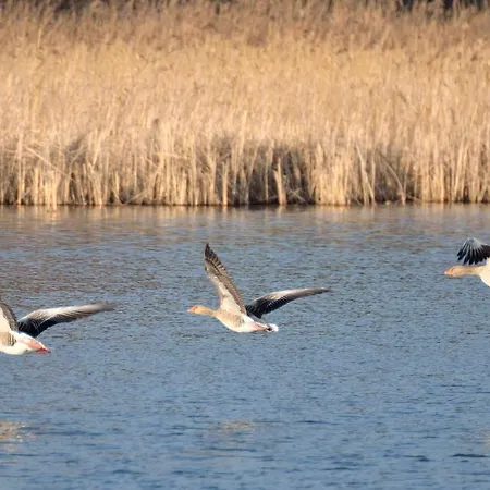 Am Durland Сasa de vacaciones *